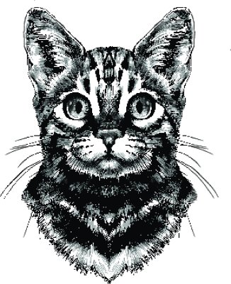 Sticker Katzen Zeichnung einer Bengalkatze mit weit geöffneten Augen