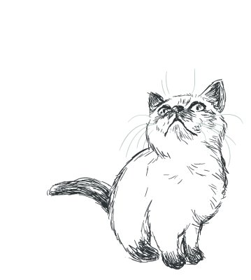 Sticker Katzen Skizze einer nach oben schauenden Katze