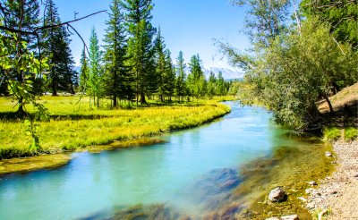 Fototapete Fluss und Wald