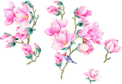 Sticker Lachsfarbene Magnolien mit Vogel