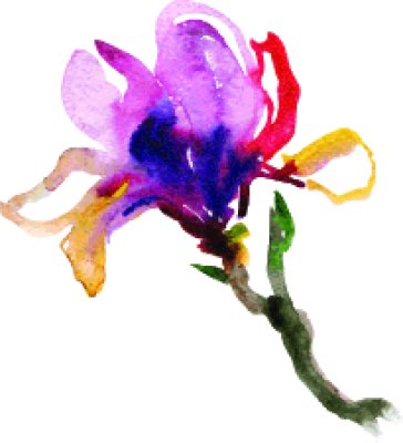 Sticker Mehrfarbige Magnolie mit Farben bemalt