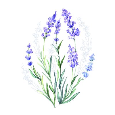 Sticker Aquarell mit Lavendel