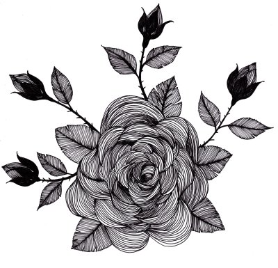 Sticker Zeichnung mit Rosen und Knospen