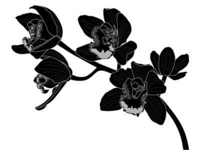 Sticker Orchidee auf einer schwarzen Illustration