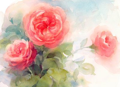 Bild Illustration mit einer Rose in Aquarell