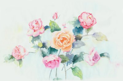 Bild Aquarellgemalte Rosen