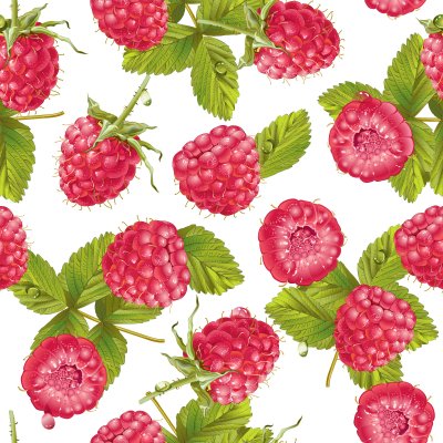 Sticker Himbeeren Retro Illustrationen auf weißem Hintergrund