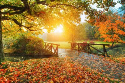 Fototapete Herbstlandschaft Sonnenaufgang im Park