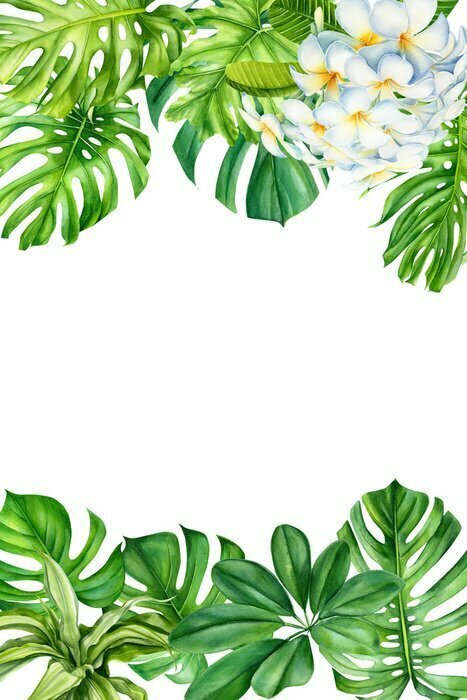 Sticker Tropical leaves and flowers on an isolated background, greeting cards with space for text, watercolor painting, botanical illustration, floral design, plumeria, palms, monstera
