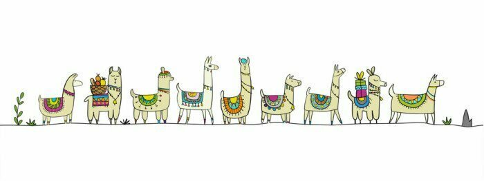 Sticker Cute lamas family. Sketch for your design