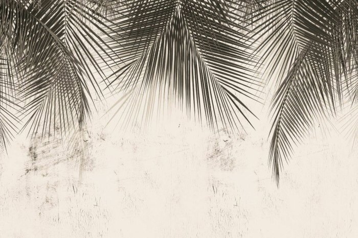 Fototapete Tropische Blätter auf Beton, monochromatisches Muster