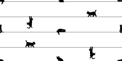 Fototapete Schwarze Katzen auf einer Linie