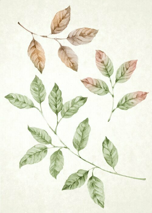 Sticker Aquarell Illustration Blume in einfachen weißen Hintergrund