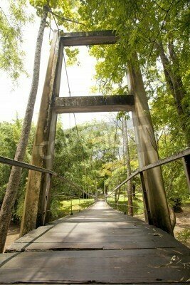 Fototapete Brücke über schlammigem Fluss