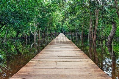 Fototapete Pfad aus Holz durch den Dschungel