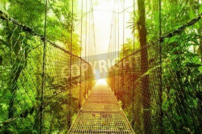 Fototapete Hängebrücke über dem Dschungel