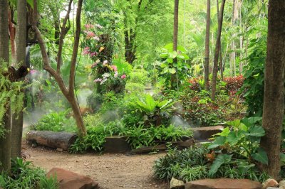 Fototapete Tropen und Blumen