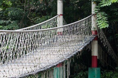 Fototapete Brücke mit Leinen mit Waldhintergrund