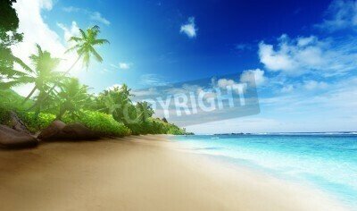 Fototapete Blick auf Tropen und Strand