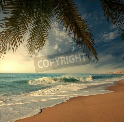 Fototapete Strand unter tropischen Palmen