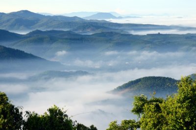 Fototapete Tropen im Nebel