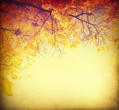 Fototapete Herbstlandschaft in Retrofarben