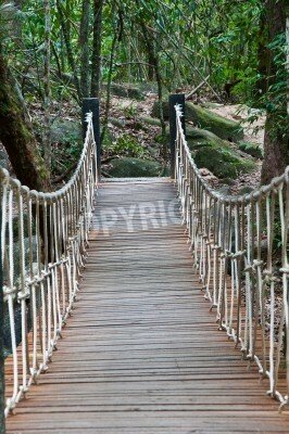 Fototapete Brücke inmitten vom Gebüsch