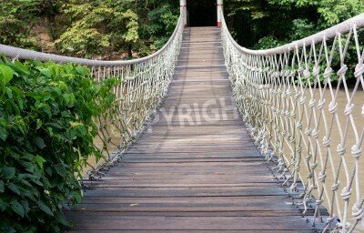 Fototapete Brücke Wald im Hintergrund
