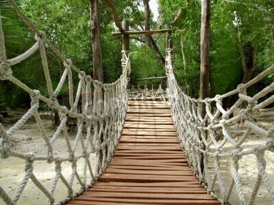 Fototapete Brücke im Wald 3d