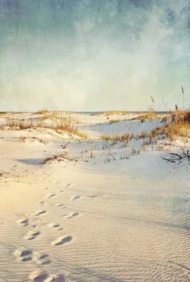 Fototapete Abdrücke auf Sanddünen