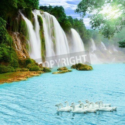 Fototapete Großer Wasserfall im Dschungel