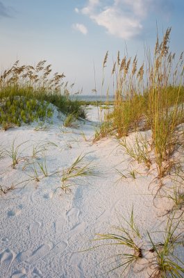 Fototapete Strand und Dünen mit Gras