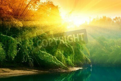 Fototapete Sonnenuntergang über dem Dschungel