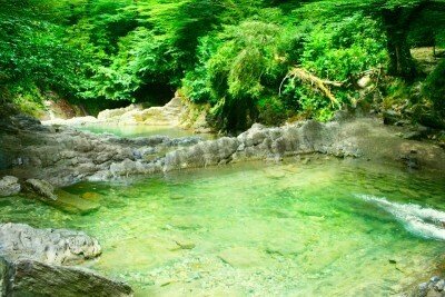 Fototapete Transparentes Wasser im Dschungel