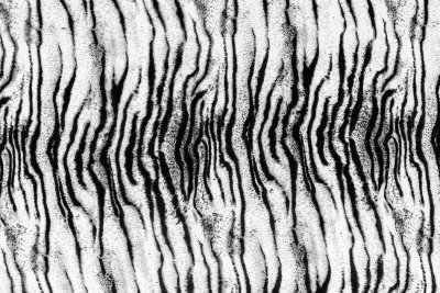 Fototapete Tigerfell-muster