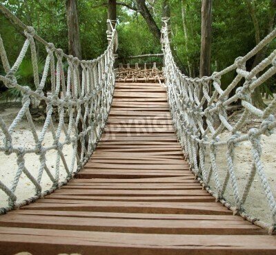 Fototapete Seilbrücke im Dschungel