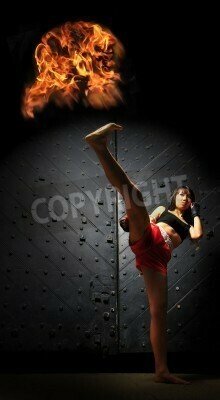 Fototapete Boxerin auf schwarzem Hintergrund