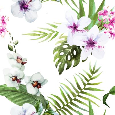 Tapete Weiße Hibiskusblüten