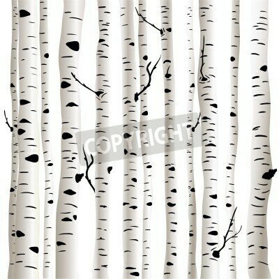 Fototapete Grafische Birken 3D