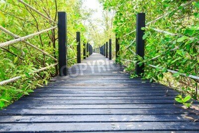 Fototapete Holzbrücke mit Leinen