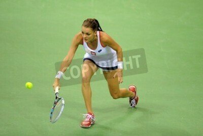 Fototapete Radwańska auf dem Tennisplatz