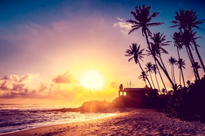 Fototapete Exotischer Sonnenuntergang