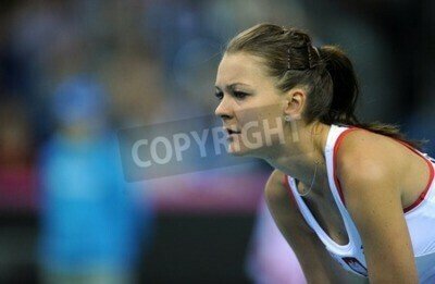 Poster Agnieszka Radwanska auf dem Tennisplatz