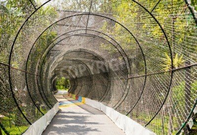 Fototapete Gittertunnel im Park