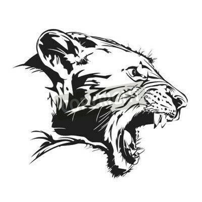 Fototapete Wilder brüllender tiger