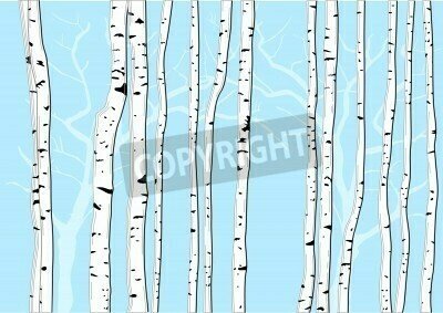 Fototapete Grafische Birken auf blauem Hintergrund