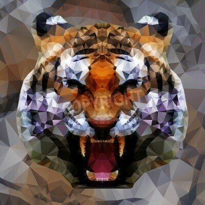 Fototapete Bunter tiger 3d