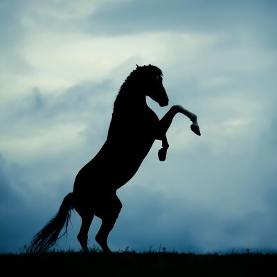 Fototapete Schwarze pferd-silhuette