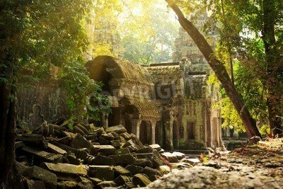 Fototapete Alte Architektur im Dschungel