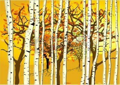 Fototapete Grafische Herbstbirken